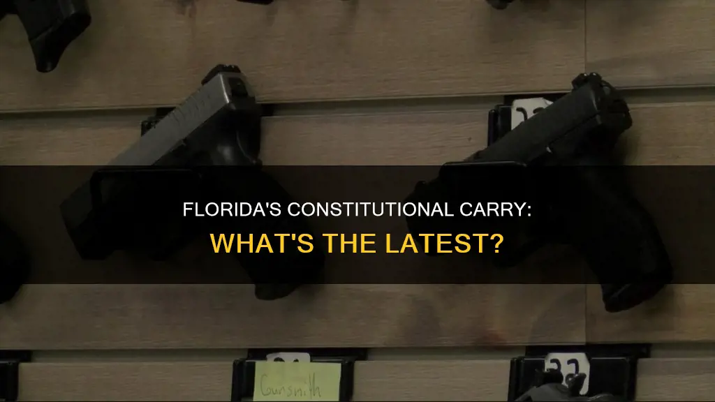 did constitutional carry pass in florida