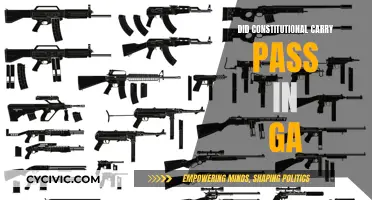 Constitutional Carry in Georgia: What's the Latest?