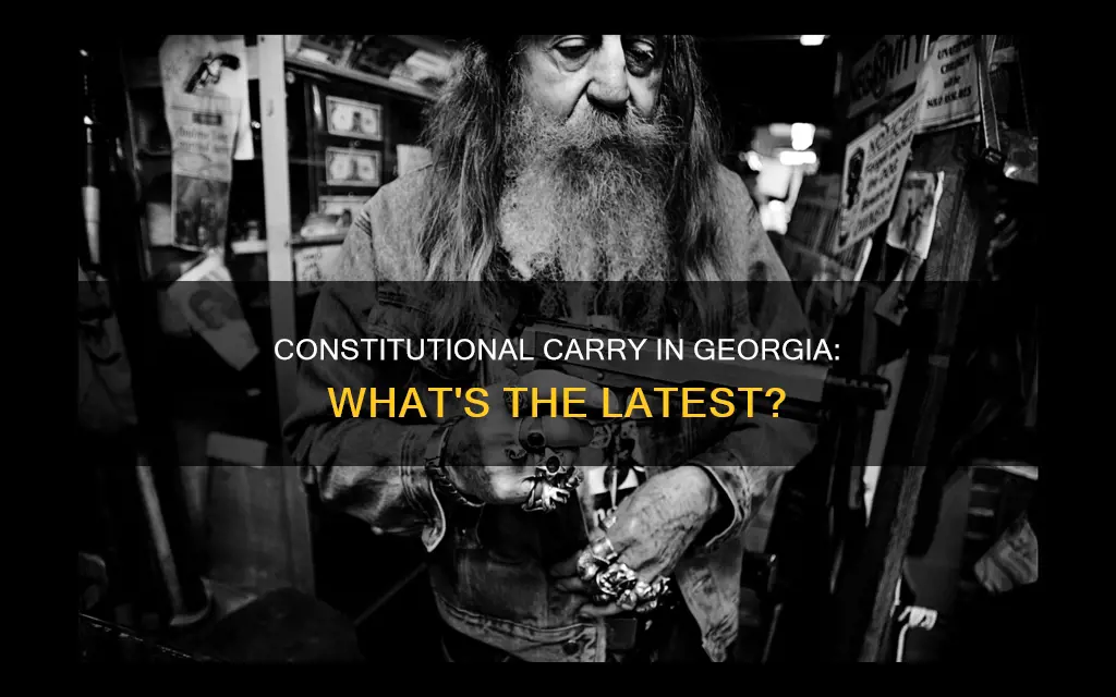 did constitutional carry pass in ga
