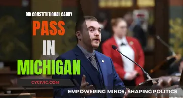 Michigan's Constitutional Carry: What's the Latest?