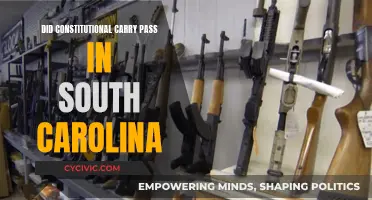 South Carolina's Constitutional Carry Law: What You Need to Know