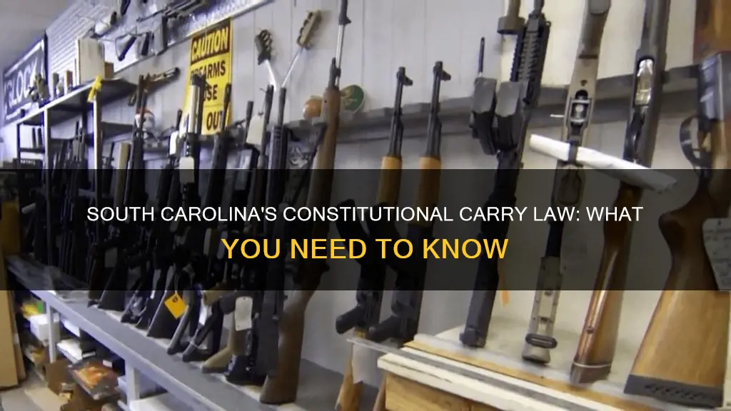 did constitutional carry pass in south carolina