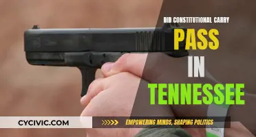 Tennessee's Constitutional Carry Law: What You Need to Know