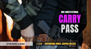 The Future of Constitutional Carry: States that Passed It