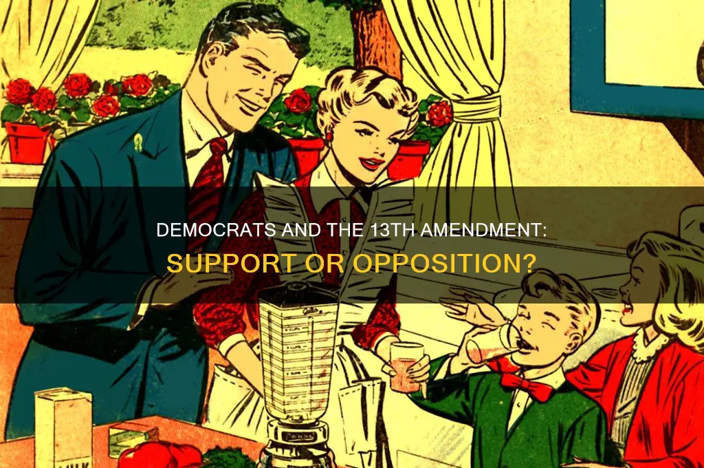 did democrats support 13th amendment to us constitution