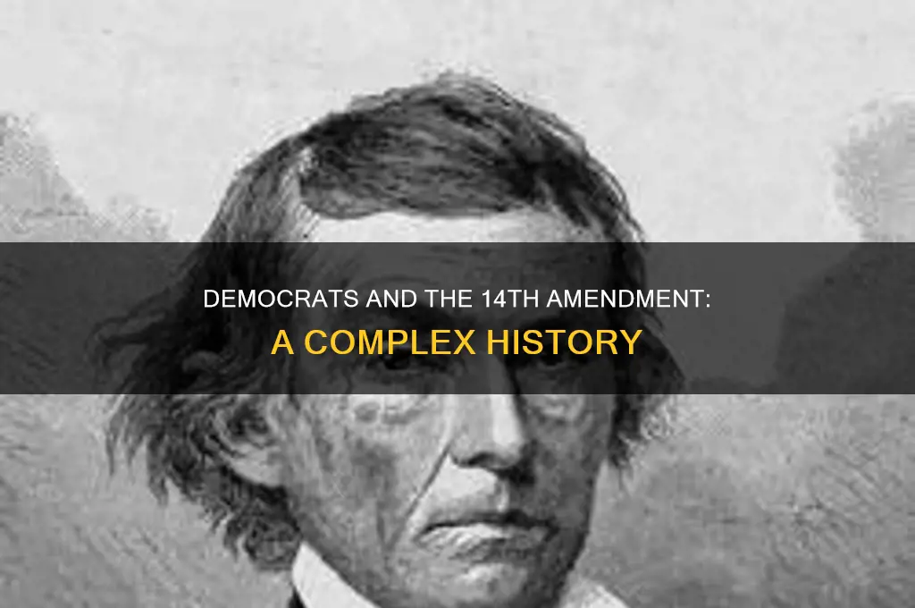 did democrats support 14th amendment to constitution