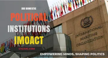 How Domestic Political Institutions Shape Global IMO Policies and Outcomes