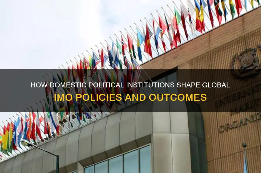 did domestic political institutions imoact