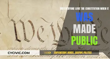 The Constitution: A Love Story or a Cautious Affair?