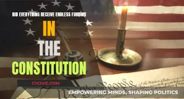 Exploring Endless Funding in the Constitution
