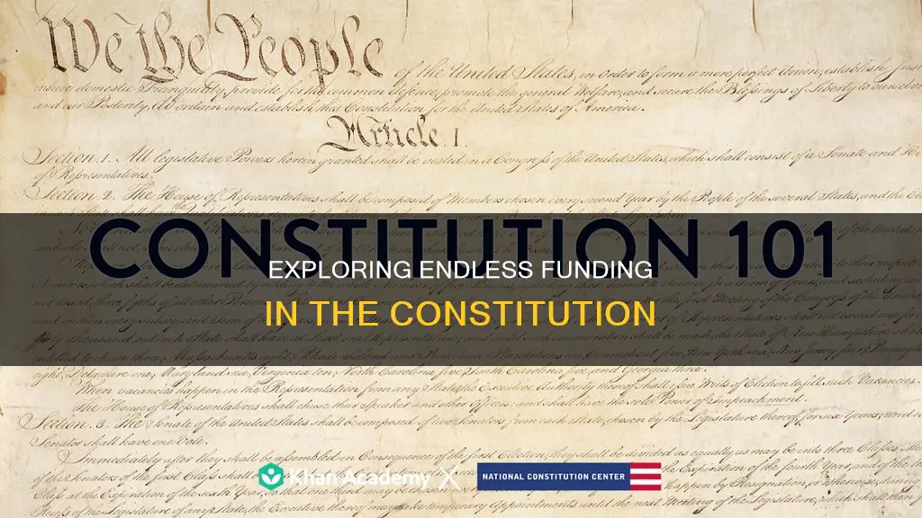did everything receive endless funding in the constitution