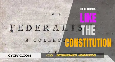 Federalists' Take on the Constitution: A Positive Viewpoint