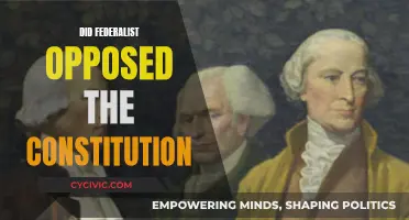Federalist Opposition: Was the Constitution Flawed from the Start?