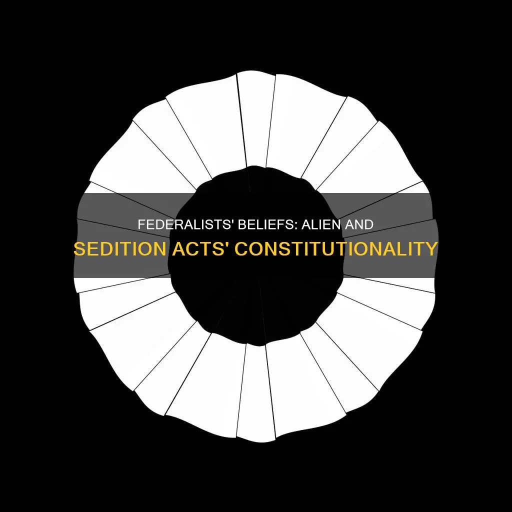 did federalists belive the alien and sedition acts were constitutional