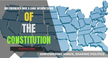 Federalists' Interpretation: Loose or Strict Constitution Reading?