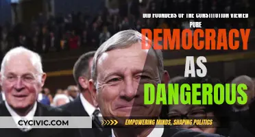 Democracy's Danger: The Founders' Constitution Conundrum