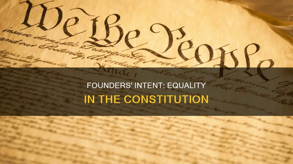 did framers of the constitution want everyone to be equal