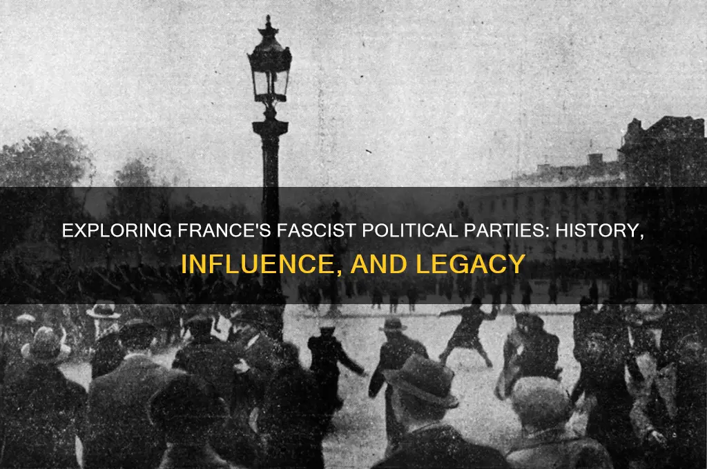 did france have fascist political parties