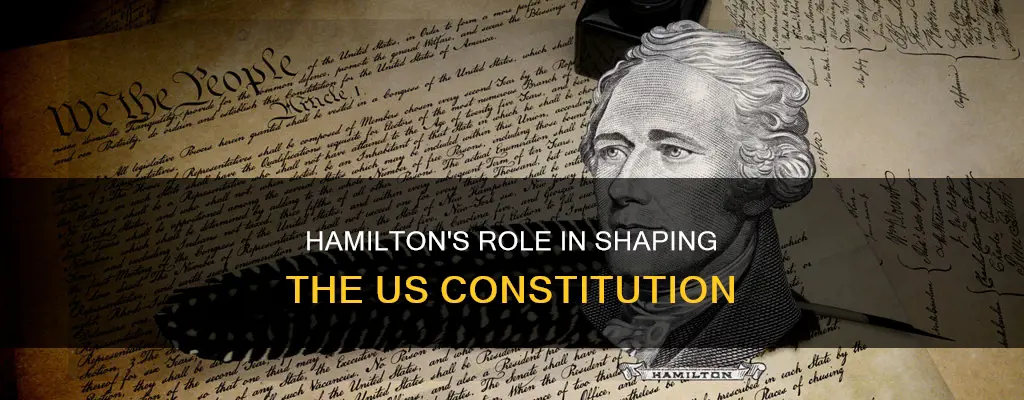 did hamilton write part of the constitution