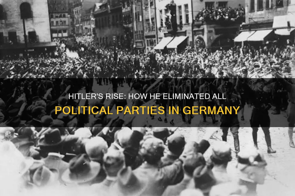 did hitler ban all other political parties