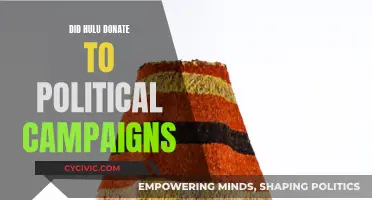 Hulu's Political Donations: Did They Fund Campaigns?