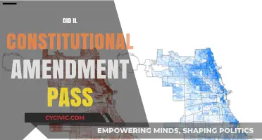 Illinois' Constitutional Amendment: Passed or Failed?