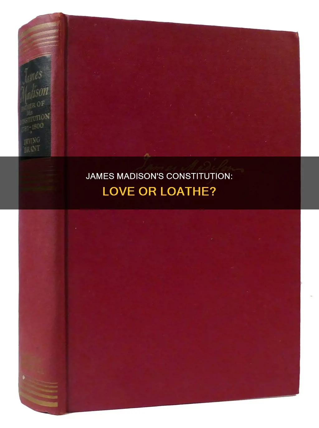 did james madison like or dislike the constitution