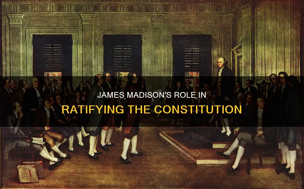 did james madison ratify the constitution