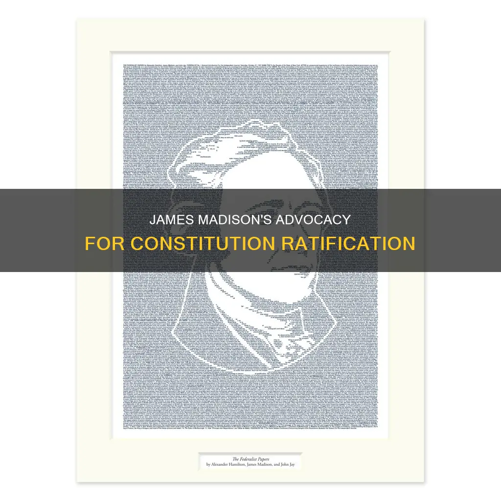 did james madison support the constitution being ratified