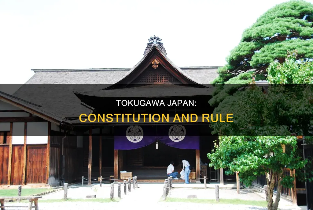 did japan have a constitution in the tokugawa period