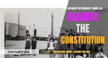 Internment Camps: Unconstitutional Treatment of Japanese Americans