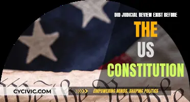 Judicial Review: Pre-Constitution Existence and Influence