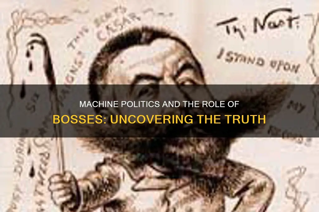 did machine politics conatin bosses