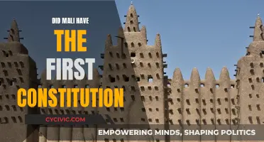 Mali's First Constitution: A Historical Overview