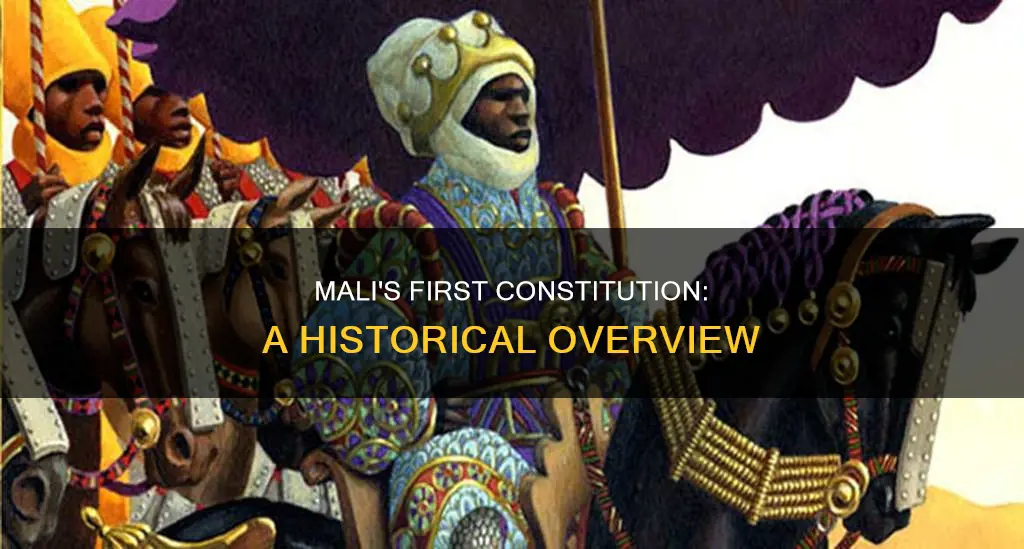 did mali have the first constitution
