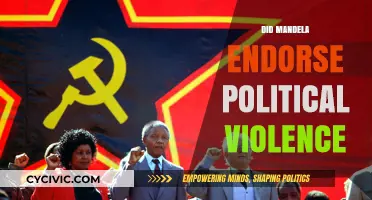 Mandela's Stance on Political Violence: A Complex Legacy Explored
