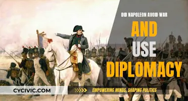 Napoleon's Strategic Choices: War or Diplomacy?
