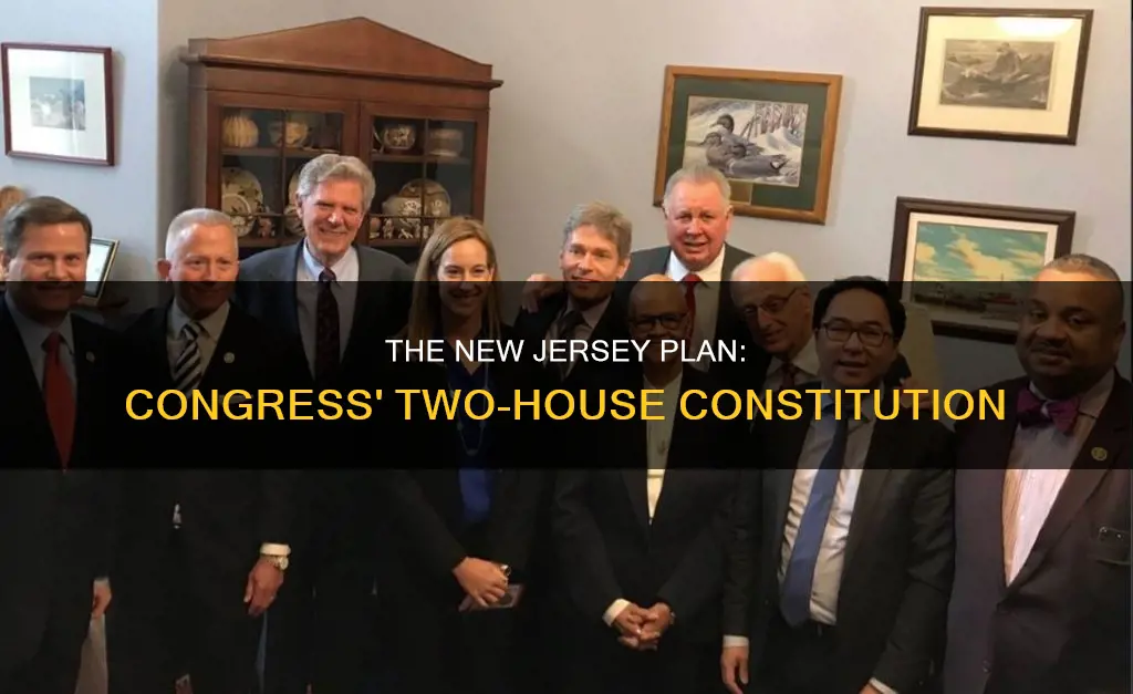 did new jersey plan constitute both houses of congress