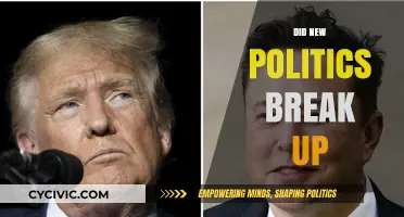 Did New Politics Break Up? Unraveling the Band's Sudden Split