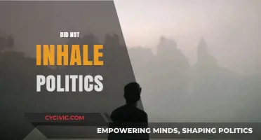 Did Not Inhale Politics: Navigating the Haze of Political Ambiguity