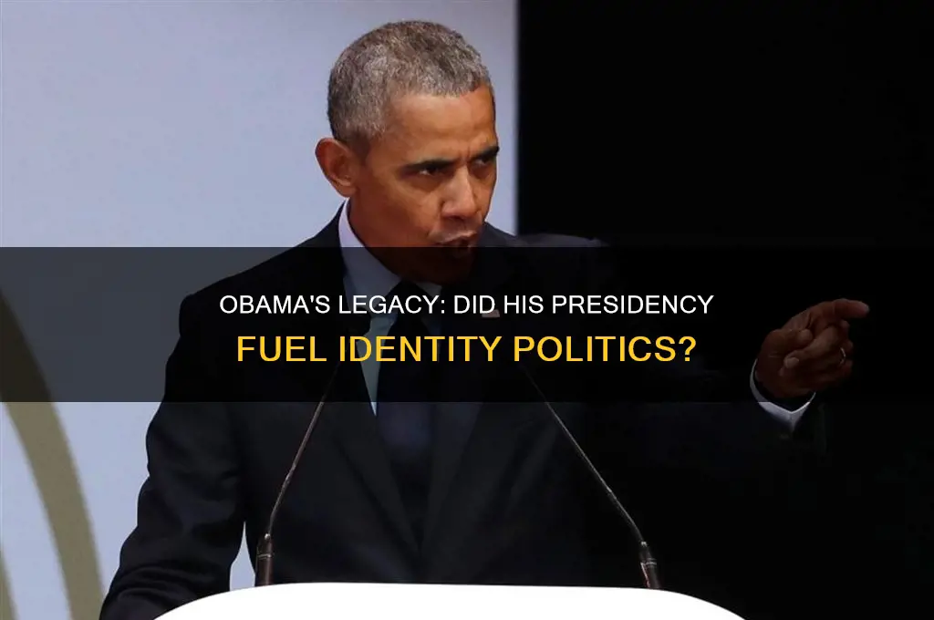 did obama create identity politics