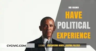 Obama's Political Journey: Assessing His Experience Before the Presidency