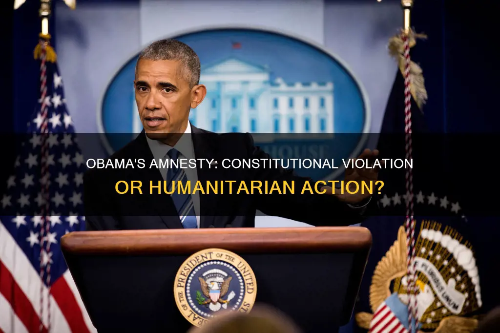 did obama violate the constitution amnesty for immigrants