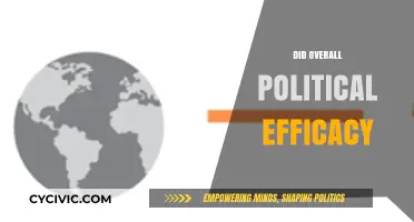 Exploring the Impact of Overall Political Efficacy on Civic Engagement