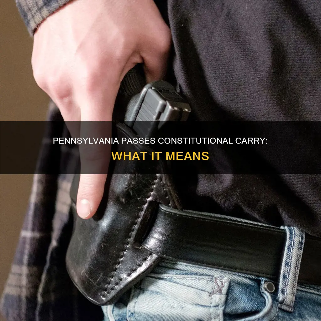 did pa pass constitutional carry