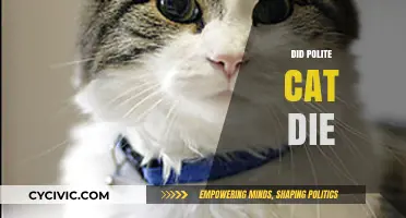 Did Polite Cat Die? Unraveling the Mystery of the Viral Feline