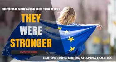 Stronger Political Parties: Impact on Voter Turnout in Historical Context