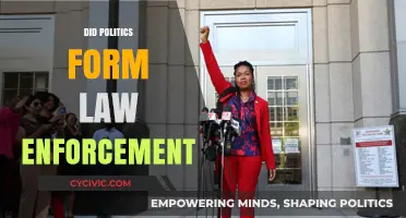 How Political Influences Shaped Modern Law Enforcement Systems