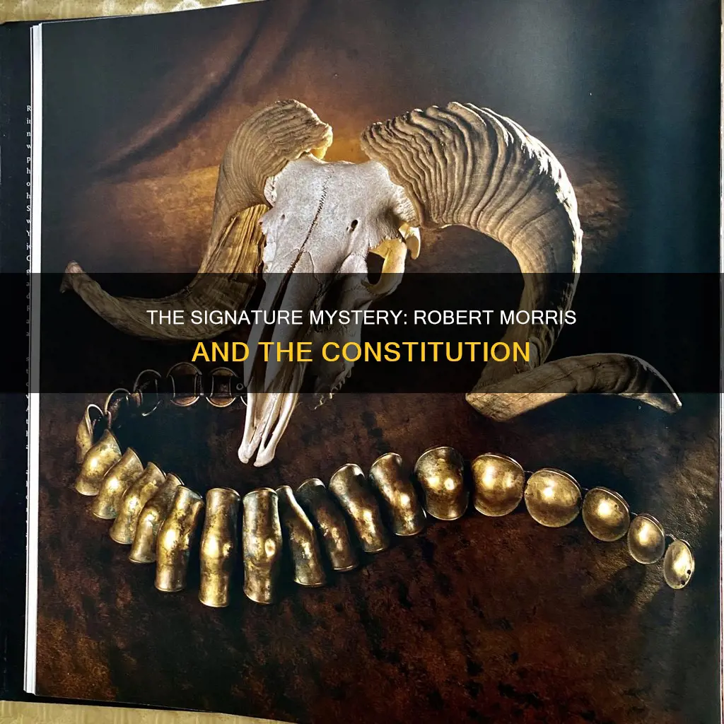 did robert morris sign the constitution