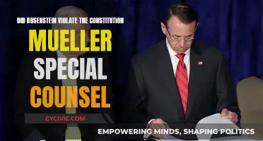 Rosenstein, Mueller, and the Constitution: Violation or Not?